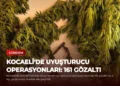 news card f8c5e27d455558b9