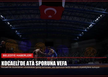 news card fa7913513f93b8d2