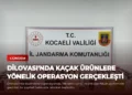 news card fdca75d53f1a2ea0