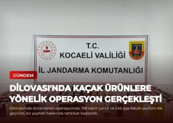 news card fdca75d53f1a2ea0