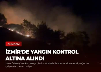 news card ff3f47343791d7c0