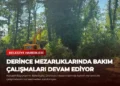 news card ff785eb8c5ba7cae