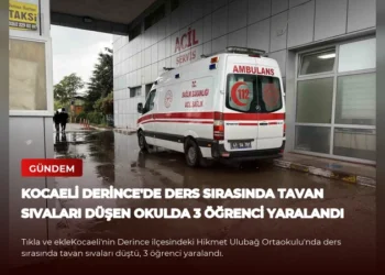 news card 03b194d757f9106a