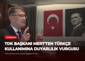 news card 083d28973d2b5b0e