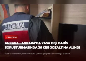 news card 0c80c01d7bdb0284