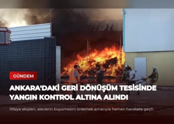news card 0c83a284a2ebe73b
