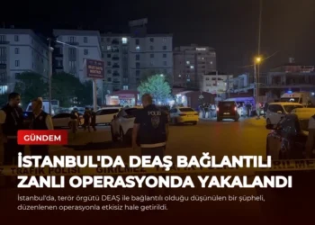 news card 0f975d4d43c4e958