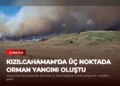 news card 1119817d98a5c29f