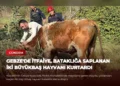 news card 13bb13913ea43170