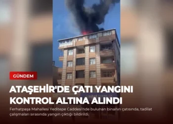 news card 14b91e3038481929