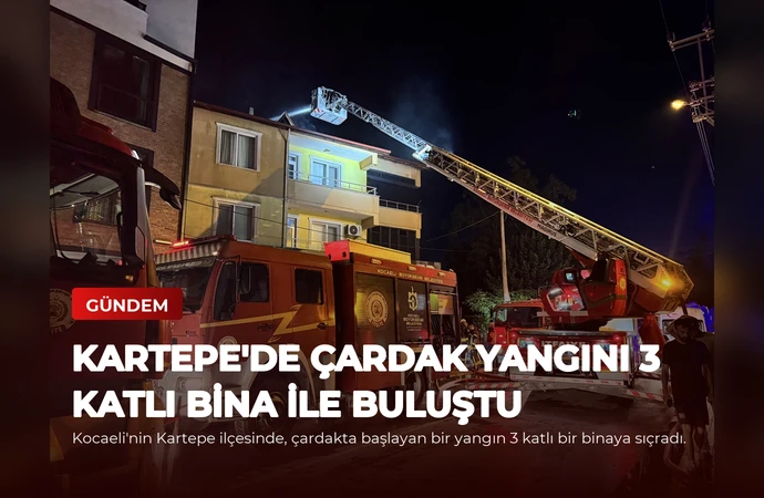 news card 1b0cf146c6d0c04d