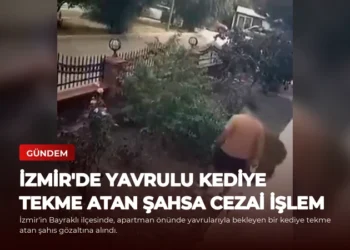 news card 1bdf235acc6888e1