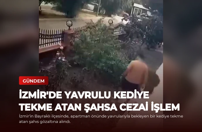 news card 1bdf235acc6888e1