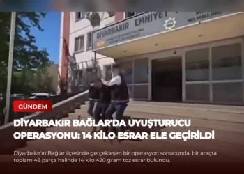 news card 1da46e597c1c2a71