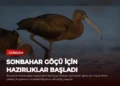 news card 1f849553d6bb53db