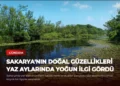 news card 23ec9d509ed70f17