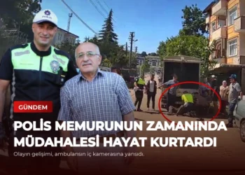 news card 24940b5a0e81fd38