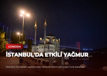 news card 26d3645fdf0d6781