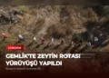 news card 2719e1228adc8f81