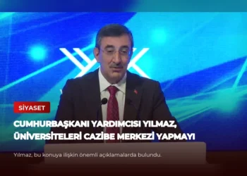 news card 299759ff54c624c6