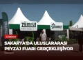 news card 2a26c18e3ad2b540