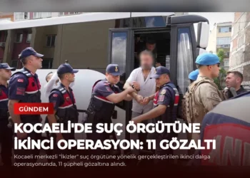news card 2d54786269d7e0ef