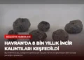 news card 2f024046a01b9e1a