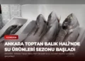 news card 2f1056449bff7f00