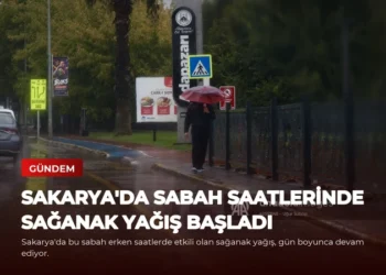 news card 302f7ede2c574cf2