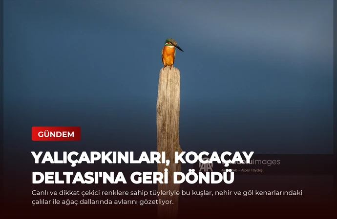 news card 329c2b6b011fb8f0