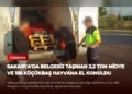 news card 32c27152ea11f5cb