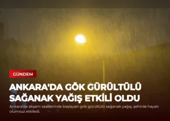 news card 33624301b33b0918