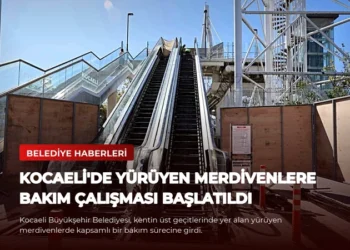 news card 3399dddcf2a69822