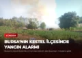 news card 3416357f960b75ef