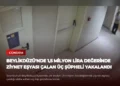 news card 36387947ef6c1d61