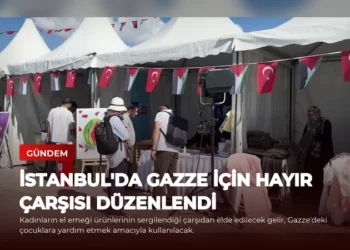 news card 37a3f4bd56360ea4
