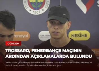 news card 385ea13e6beddfe8