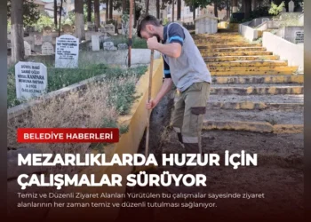 news card 399aa655bd71bad4