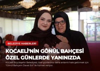 news card 3af579fef62f08b3