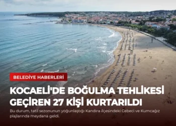 news card 3e637ad12c3d1639