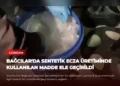 news card 3ee10fa29169c679