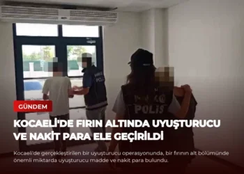 news card 3f4b392bfe059f1e