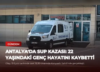 news card 3f88d57dcf7f07f9
