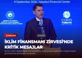 news card 41049b8f495686e2