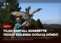 news card 43a4e36fe01057aa