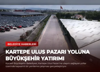 news card 44716d167665cb72