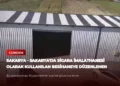 news card 4697ec3fe1bbe2cc