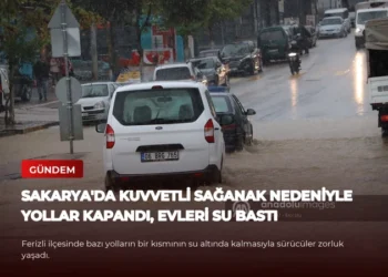 news card 492567596aa0c9e5