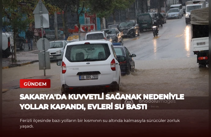 news card 492567596aa0c9e5