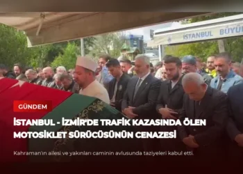 news card 49d971bb3d273869